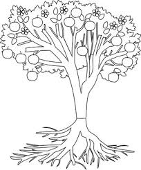 Abstract trees root leaves plant coffee color. Coloring Page Apple Tree With Root System And Fruits Stock Vector Adobe Stock
