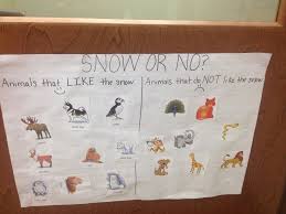 Winter Theme Which Animals Like The Snow Large Group Activity The Children Place Winter Activities Preschool Winter Theme Preschool Winter Animals Preschool