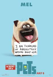The Secret Life Of Pets Character Posters Are Here And They Re Cuter Than The Trailer Secret Life Of Pets Pets Movie Secret Life