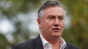 Eddie McGuire knows time is right to step down as Collingwood president,  former Magpies director says