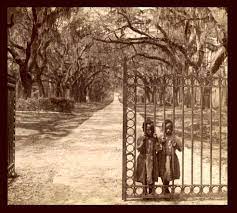 Pastoral scene of the gallant south, the bulging eyes and the twisted mouth, scent of magnolias, sweet and fresh, then the sudden smell of burning flesh. Strange Fruit Song Samfunnsfaglig Engelsk Sf Vg3 Ndla
