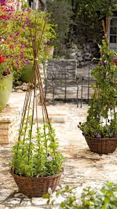 Maybe you would like to learn more about one of these? Willow Obelisk Planter Gardeners Supply Company Diy Garden Trellis Willow Garden Garden Trellis