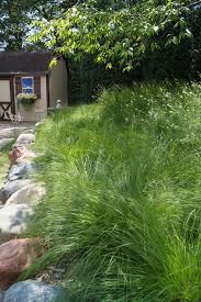 100% satisfaction guaranteed or it's free* prairie seed farms provides you with more than 127+ years of combined experience in growing, selecting, seeding, cultivating and processing of prairie seed. Prairie Gardens Rustic Landscape Minneapolis By Prairie Restorations Inc Houzz