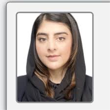 This past week, I had the incredible opportunity to attend the 51st NSBE  (National Society of Black Engineers) Conference.