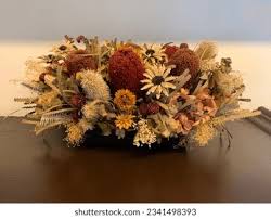 Image result for Microglossa