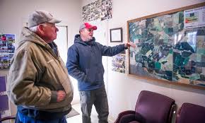 Unique in the world, Touchet's alkali bee populations plummeting in  Southeast Washington