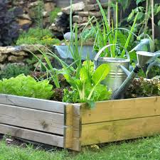 Créer et entretenir son jardin potager. Creer Son Premier Potager 4 Conseils Pour Se Lancer