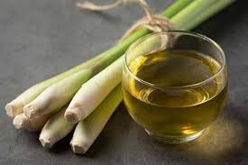 Apabila tarikh jangkaan bersalin hampir dekat, pasti ibu akan mencari cara buat air selusuh yang dikatakan mampu membantu ibu ketika proses melahirkan berlaku. 6 Manfaat Minum Air Rebusan Serai Paling Ampuh Mengaasi Kolesterol Semua Halaman Bolastylo Bolasport Com