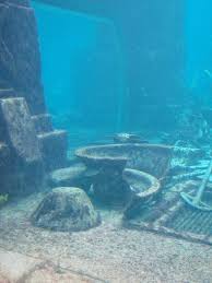 Top 10 Most Ancient Lost Cities In The World Lost City Of Atlantis Underwater City Sunken City