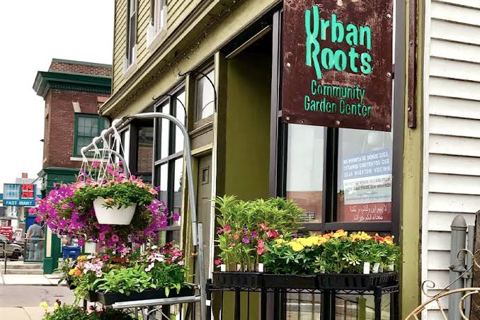 Urban Roots, Cooperative Garden Market, Garden Stores, Plants, Buffalo