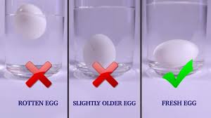 Traditionally, if you're in any doubt, you if the egg sinks, it is good. Egg Float Test Tell If Your Expired Eggs Are Still Good To Eat