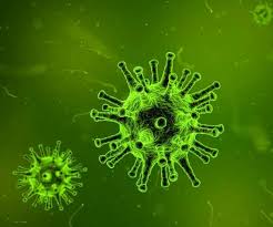 This can help lower the chance of a virus spreading among siblings. Mlx9txqymnqewm