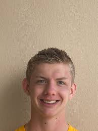 Holland Sentinel All-Area Boys Swimming and Diving