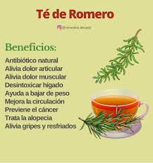 Lo que no sabías del Te de Romero ver la información en el primer comentario 👇👇👇🌿