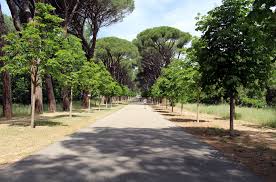 Maybe you would like to learn more about one of these? Tu Alquiler Vacacional En El Escorial Casas Rurales Y Mas Vrbo
