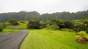 Today we decided to take a trip to go and visit the hoomaluhia botanical garden near kaneohe. Hoomaluhia Botanical Gardens Activities On Oahu Kaneohe Hawaii
