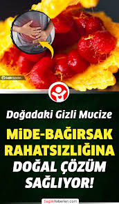Kudret Nari Nedir Neye Iyi Gelir 2020 Dogal Saglik Saglikli Yasam Saglikli Spor Aktiviteleri
