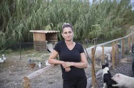 Chaque saison accueille différents agriculteurs et agricultrices en. Forum L Amour Est Dans Le Pre 2019 M6 Vos Avis Sur Les Candidats Et Couples L Amour Est Dans Le Pre Nouveautes Tele Com