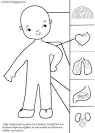 Fylla Ergasias Gia To Swma Moy 3 Los Ninos Body Preschool Human Body Activities Preschool Activities
