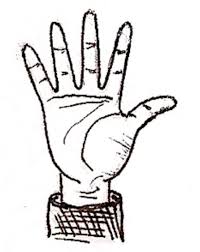 Great for painting, wood working, stained glass, and other art designs. How To Draw A Hand Fazzino