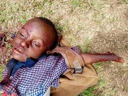 Image result for photos of pupils hacked to death in ogun state