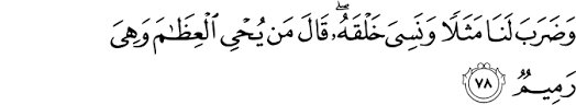 Awa lam yaraw annaa kholaqnaa lahum mimmaa 'amilat aydiinā an'aamann fahum lahaa maalikūn. Tafseer Surah Yaseen 77 79 In The Pursuit Of Writing