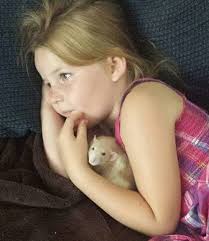 Never use bait poison, it can harm pets