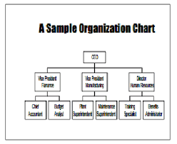 41 free organization chart templates in word excel pdf