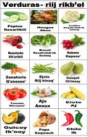We did not find results for: La Loteria En Tzutujil De Las Verduras Nombres De Las Verduras Y Frutas En Tz Utujil