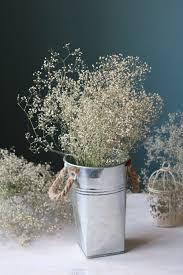 Pin On Dried Flowers