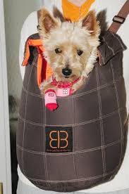 Front Pet Carriers For Small Dogs Spiffy Pet Products Small Dog Carrier Pet Backpack Carrier Pet Carriers