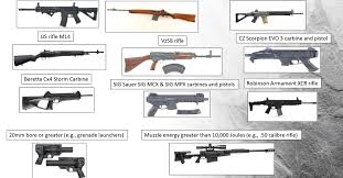 Historically, many black powder pistols fired bullets with diameters well above ½ inch. Everything You Need To Know About Canada S New Firearms Ban News