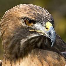 أبى الداعية الأمنجي محمد سعيد رسلان إلا أن يحتفل بالكريسماس هذا العام. Ø§Ù„Ø¬Ø±ÙŠØ¯ÙŠ Ø¬Ø±ÙŠØ¯ÙŠ On Twitter Tigerwood386 Sem Sem Yhya Ø¨Ø³Ù… Ø§Ù„Ù„Ù‡ Ø§Ù„Ø±Ø­Ù…Ù† Ø§Ù„Ø±Ø­ÙŠÙ… Ø§Ù„Ø§Ø¬Ø§Ø¨Ù‡ ÙƒÙ„ Ù…Ø§Ø³Ø¨Ù‚ Twitter