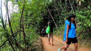 Air terjun ini terletak di dusun kampung anyar, desa taman suruh, kecamatan glagah. Downhill Trail Hike Air Terjun Sofea Jane Kemensah Youtube