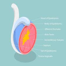 いしむら腎泌尿器科クリニック
