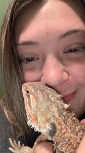 Bearded dragon for adoption in Ste Genevieve Missouri
