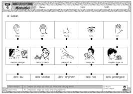 Tuliskan 'benda hidup' atau 'benda bukan hidup' dalam kotak di bawah. Latihan Sains Tahun 1 Smart Mind Home Centre Sibu Facebook