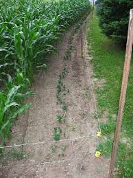 How to attach / install electric fence gate handles? How To Install An Electric Fence 7 Steps With Pictures Instructables