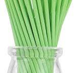 100pcs Paper Lollipop Sucker Sticks for Cake Pops Candy, 6-Inch by 5/32-Inch (Green)