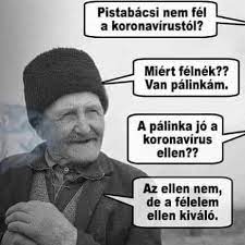 Coronaviruses are a group of related rna viruses that cause diseases in mammals and birds. Egy Kis Nevetes Sosem Art Koronavirus Memek A Kozossegi Media Terben Kozossegi Media Mindenkinek