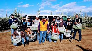 Meet Farmworker of the Year finalist Andres Aguilar