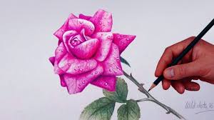 How To Draw And Shade Dahlia Flower Realistic Youtube Flower Drawing Roses Drawing Colored Pencils This time to 1970 to see duchess and her three kittens adventure across the countryside, with the aid of. how to draw and shade dahlia flower