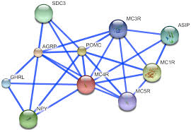 In this case, the sequence contains the gene to make the protein insulin. Chapter 15 Disease Gene Prioritization