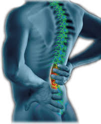 Pin On Spine