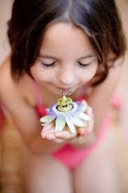 The photography journey of Anne Wick