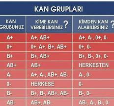 Google Saglik Saglik Urunleri Saglikli Yasam Tarzi