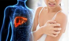 Diseases usually are indicated by signs and symptoms. Liver Cancer Symptoms Signs Include Itchy Skin Caused By Jaundice Express Co Uk