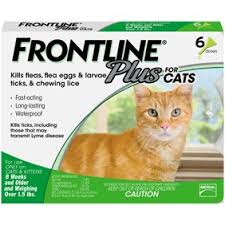 Frontline Plus For Cats And Kittens 1 5 Lbs And Over Flea And Tick Treatment 3 Doses