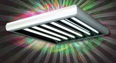 Ipower glt5xx4 54w 4 feet t5 fluorescent grow light system with stand rack for plant seed starting, 6400k, 1 pack, green. 23 T5 Grow Lights Ideas Grow Lights Growing Grow Light Fixtures