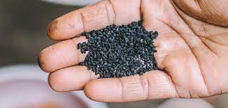 Nigella Kalonji Not To Be Confused With Onion Seed Or Black Cumin